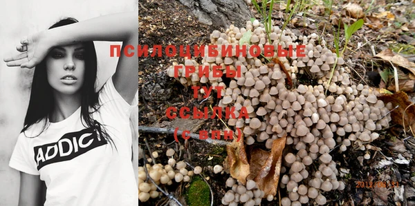 героин Абаза