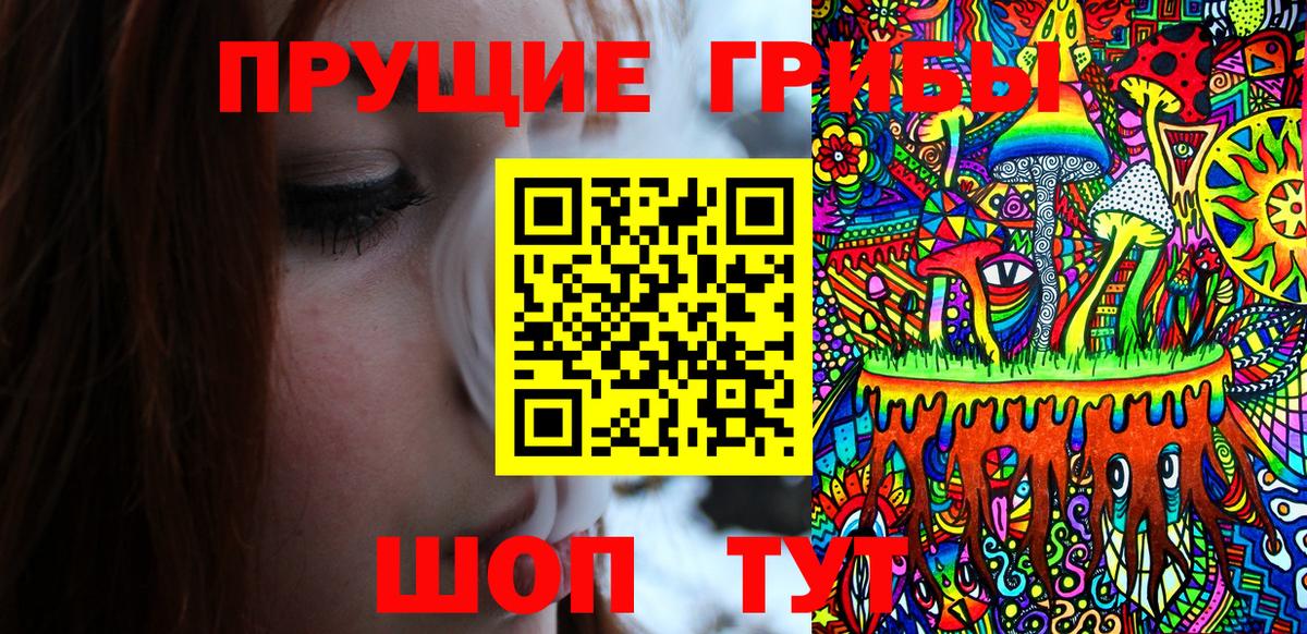 Искитим  дарнет шоп  Вход с VPN  Псилоцибиновые грибы Cubensis 